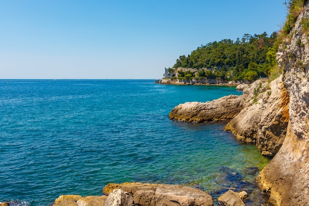 Foto mare roccioso del mare adriatico. un bellissimo mare con rocce gialle e alberi verdi.