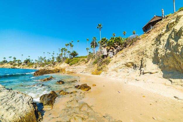 Rocky shore in laguna beach california