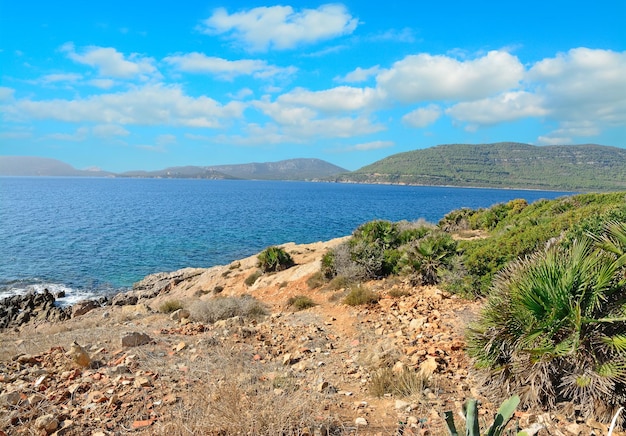 Rocky shore line under a blue sky Shot in Porto Conte Italy