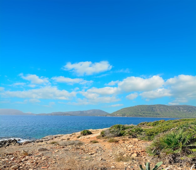 Rocky shore line under a blue sky Shot in Porto Conte Italy