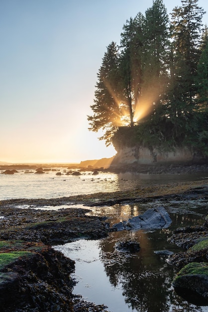 写真 太平洋沿岸の岩石の海岸 晴れた日没の自然の背景