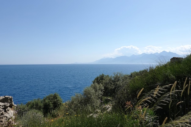 Rocky shore with south vegetation calm sea and high mountains at far in haze in sunny summer day