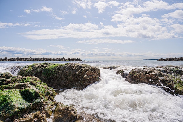 Rocky Shore