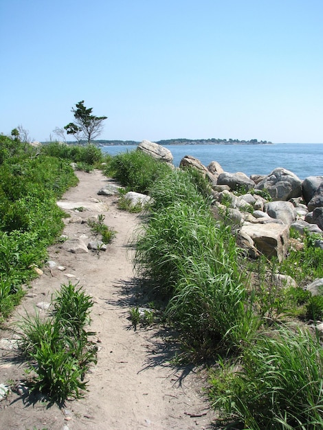 Rocky shoreline with green grass coast of hammonasset beach state park in madison connecticut