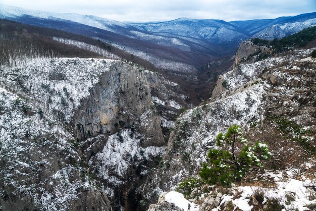 冬の上面図の岩だらけの雪の峡谷