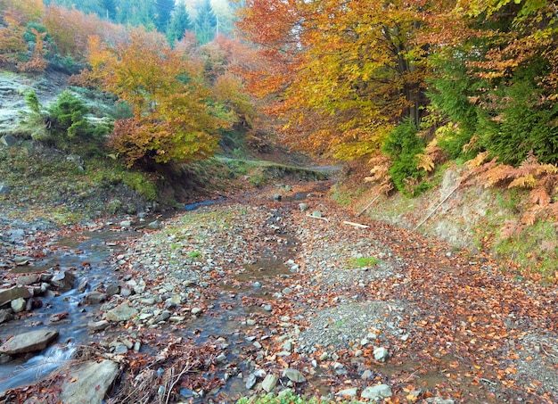 Ruscello roccioso, che attraversa la foresta di montagna d'autunno