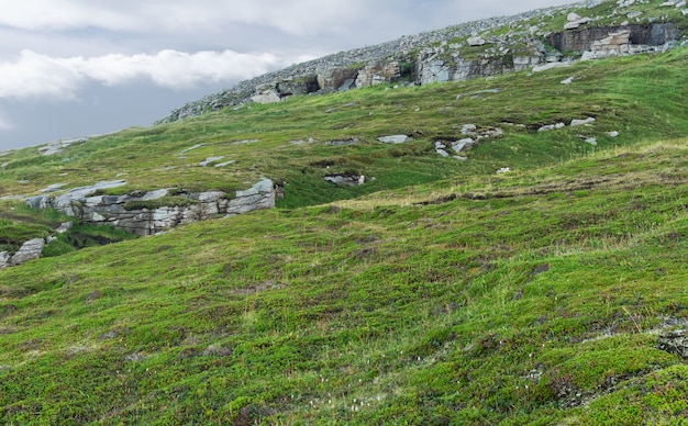 Rocky terrain and vegetation on the island of Mageroya, Norway