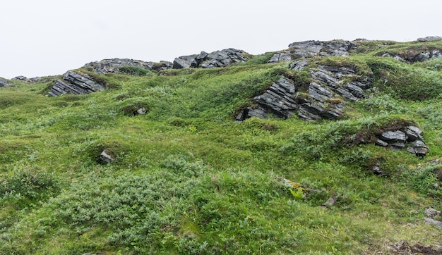 Rockyy-heuvels in de zomer, Soroya-eiland, Noorwegen