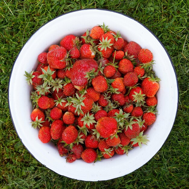 Rode aardbeien in een witte kom. Natuurlijke voeding, een gezonde levensstijl.