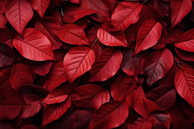 Rode achtergrond versierd met de schoonheid van herfstbladeren