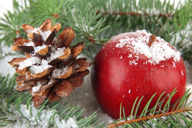 Rode appel met dennentakken en bult in sneeuw close-up