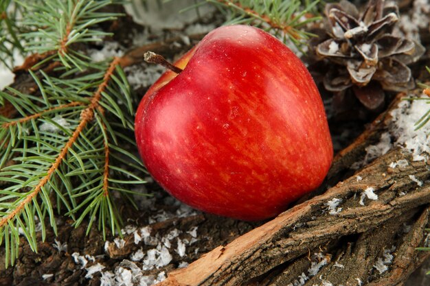 Rode appel op schors in sneeuw close-up