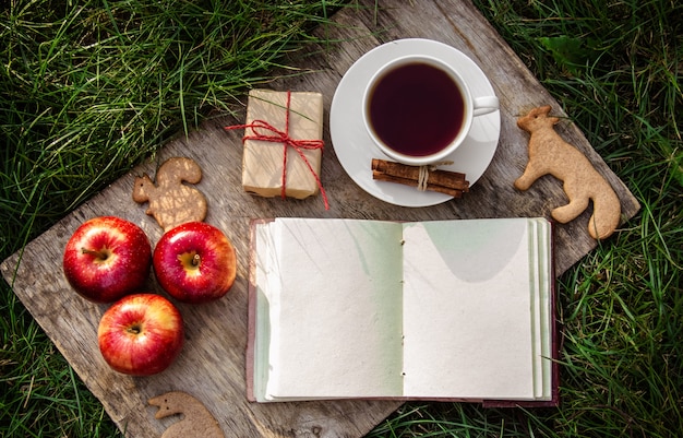 Rode appels boek en thee in de tuin