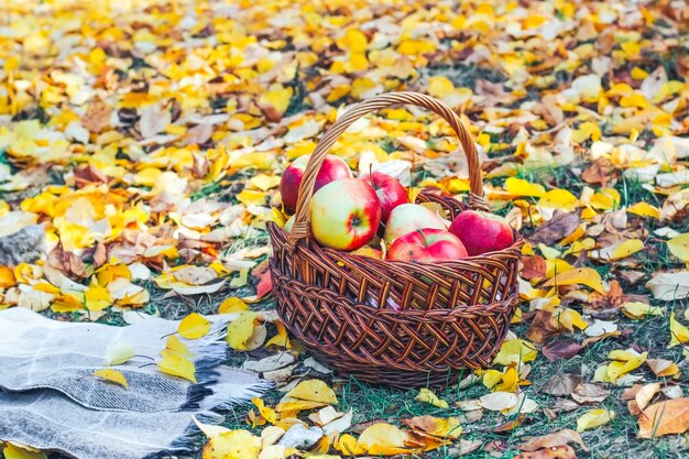 Rode appels in een rieten mand met een geruite achtergrond van gele herfstbladeren.