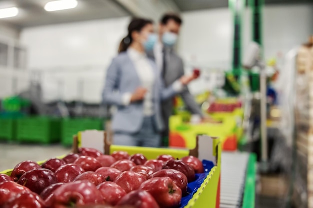 Rode appels in focus Rijpe, sappige appels in een doos in de focus van de foto Op de achtergrond wazige zakenmensen die de kwaliteit van appels controleren in de fabriek op de productielijn