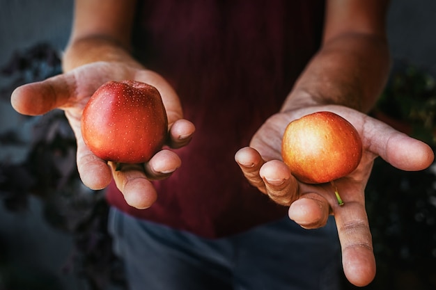 Rode appels liggen op de handpalm van een man.