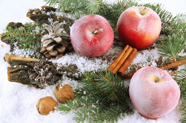 Rode appels met dennentakken op schors in sneeuw close-up