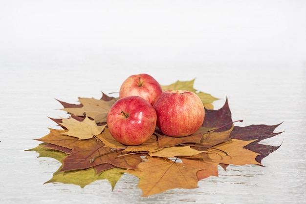 Rode appels op herfstbladeren.