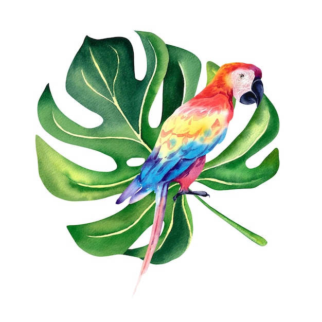 Rode ara papegaai op de achtergrond van monstera Aquarel illustratie Tropische vogels Exotische vogelsTropische illustratie