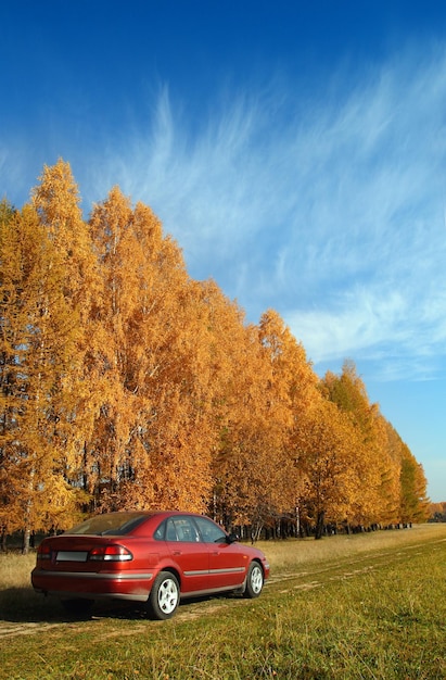 rode auto in de buurt van herfstbos onder de blauwe lucht