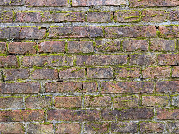 Rode bakstenen muur achtergrond met groen gras, textuur van oude rode bakstenen