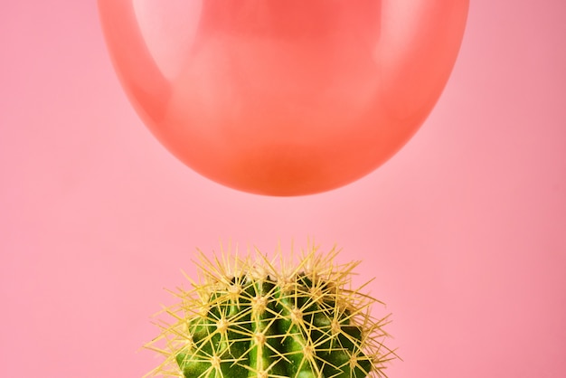 Rode ballondaling op cactusnaald op een roze achtergrond. Gevaar of bescherming concept