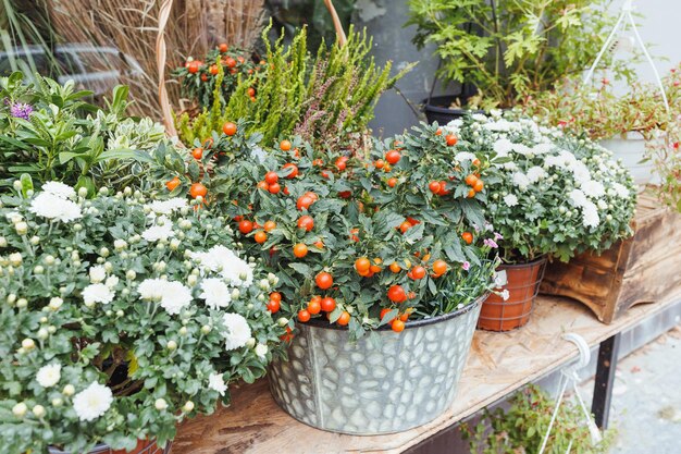 Rode bessen en chrysanthemum bloemen decor in manden in bloemenwinkel