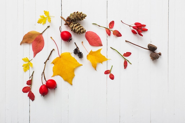 Rode bessen en herfstbladeren op oude houten achtergrond