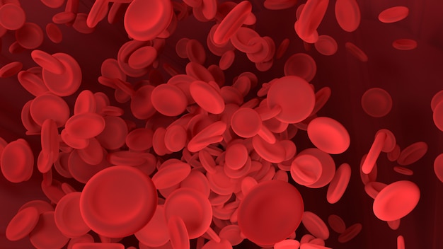 Rode bloedcellen bewegen in het bloedvat.