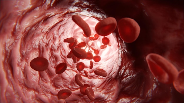 Rode bloedcellen erytrocytenverzadiging van het menselijk lichaam met zuurstof Beweging van erytrocytencellen door de haarvaten Zuurstofoverdracht van hemoglobine naar myoglobine 3d render
