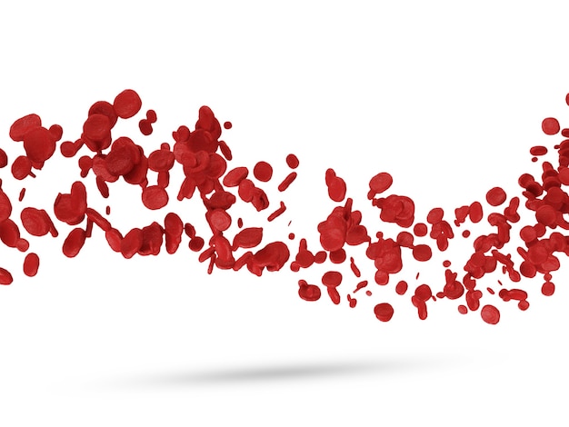 Foto rode bloedcellen op wit