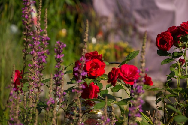 Foto rode bloemen bloeien buiten