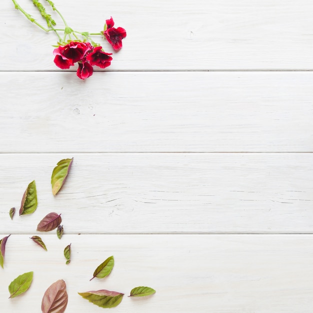 Foto rode bloemen en bladeren