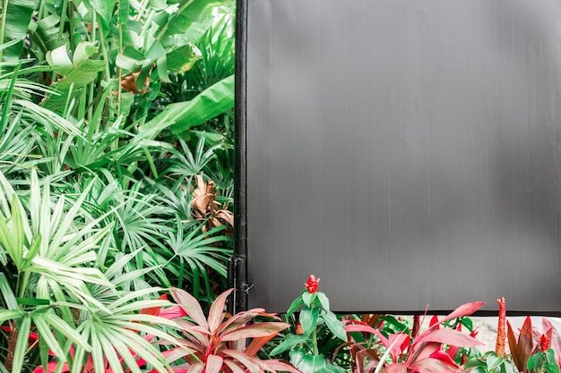 Rode bloemknoppen en tropisch groen met een grijs reclamebord voor tekst en reclame Kopieer ruimte in een tropische tuin