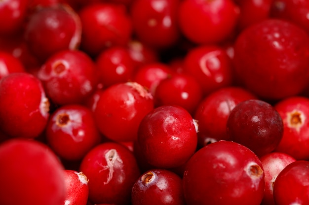 Rode cranberry close-up. nuttige wilde bes