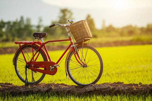 Rode de stijl klassieke fiets van Japan bij het groene gebied