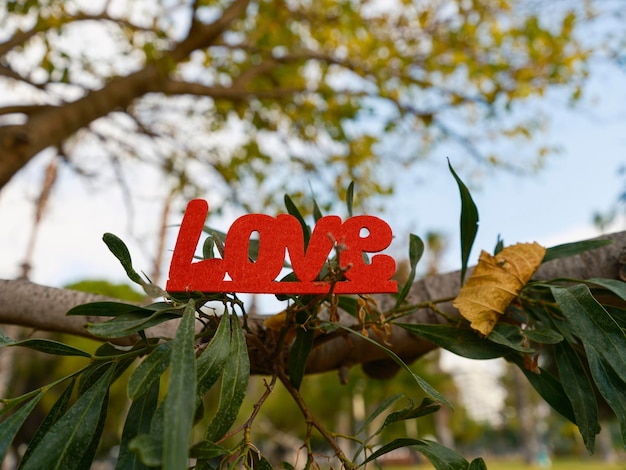 Foto rode decoratieve liefdesletters op een boom