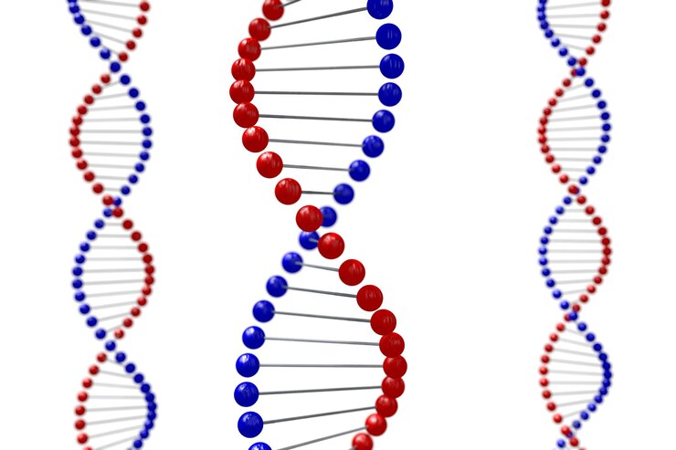 Foto rode en blauwe dna-ketting 3d illustratie