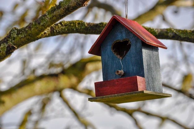 Foto rode en blauwe vogel nesting doos met hartvormige ingang hangt op boom