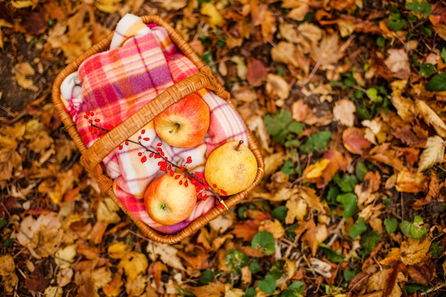 Rode en gele appels en erwt in de mand