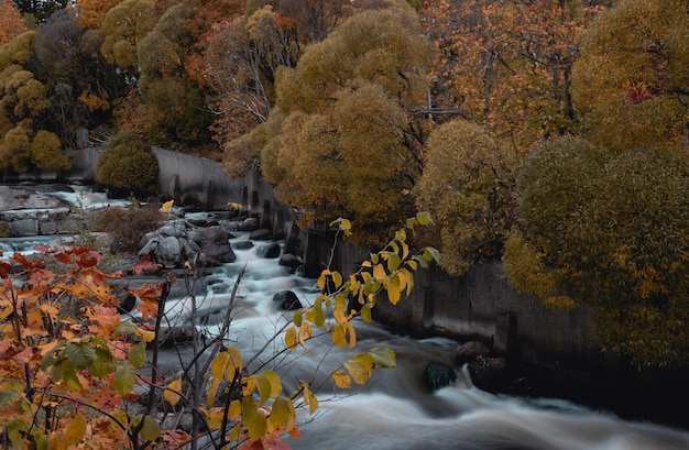 rode en gele bomen en bladerenwaterval in het parkherfstlandschap in Finland