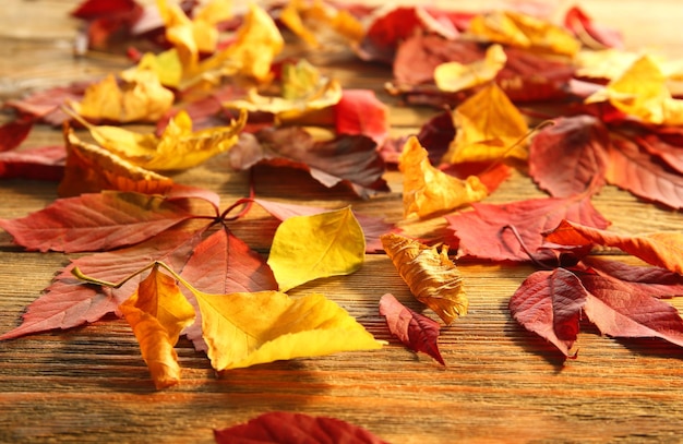 Rode en gele herfstbladeren op houten tafel close-up