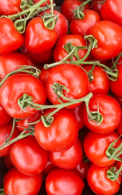 Rode en gele tomaten in dozen op de boerenmarkt.selectieve focus.nature