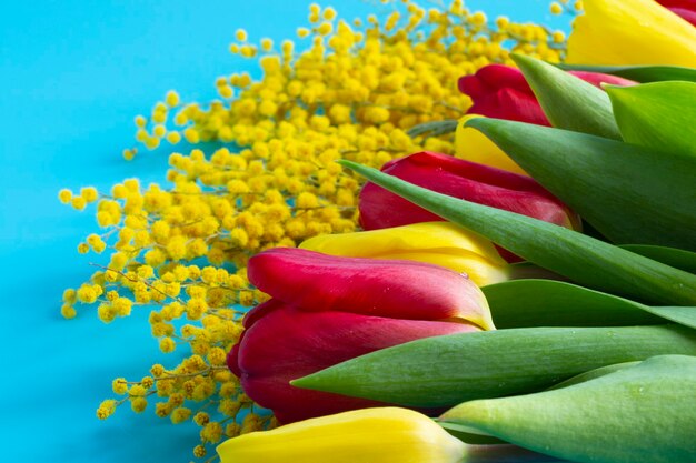 Rode en gele tulpen en gele mimosa op een blauwe achtergrond