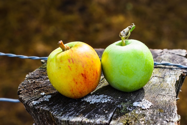 rode en groene appels in houten oppervlak