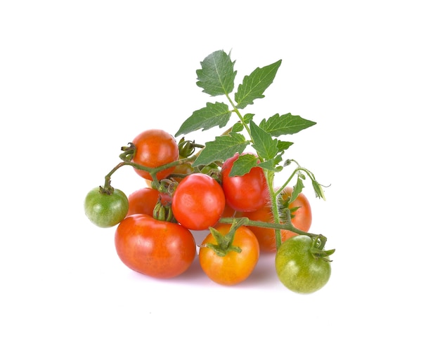 Rode en groene tomaten met bladeren