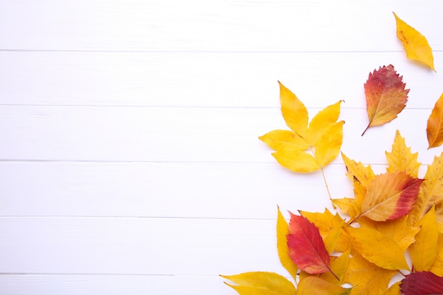 Rode en oranje herfstbladeren op witte tafel