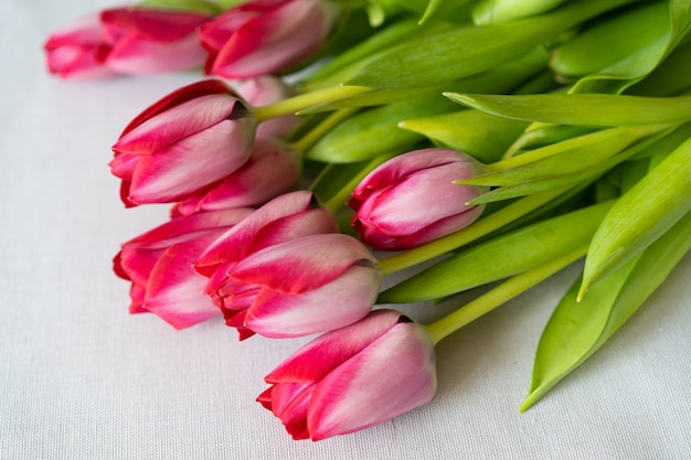 Rode en roze tulpen op een witte tafel, lente