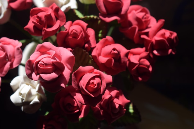 Rode en witte rozen gemaakt van plasticine