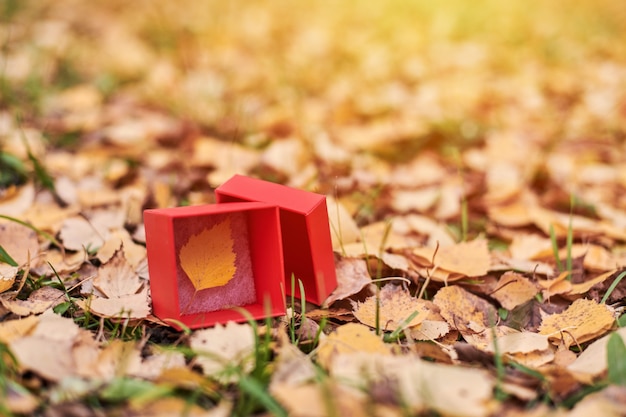 Rode geschenkdoos op herfstbladeren grond